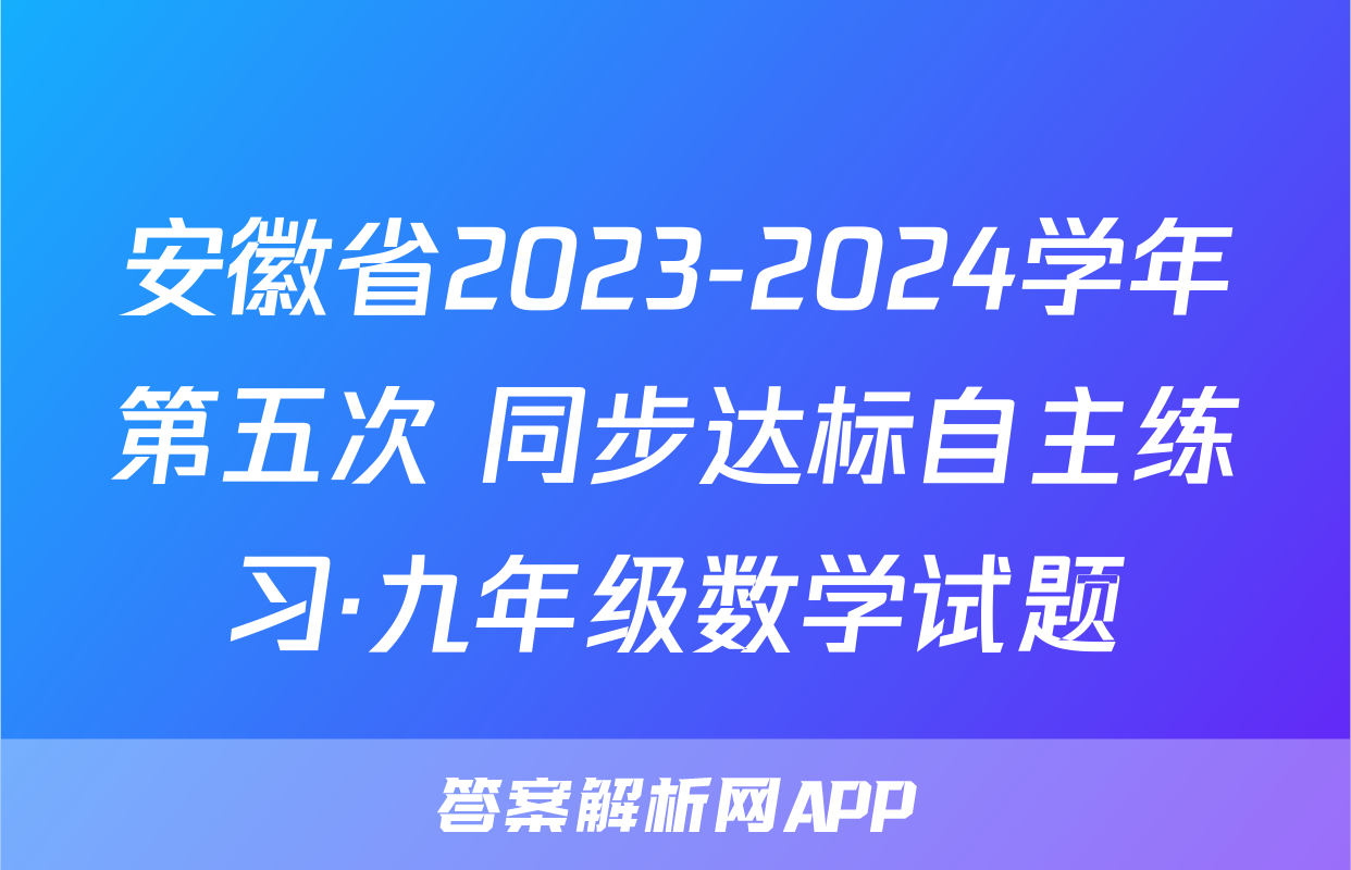 安徽省2023-2024学年第五次 同步达标自主练习·九年级数学试题
