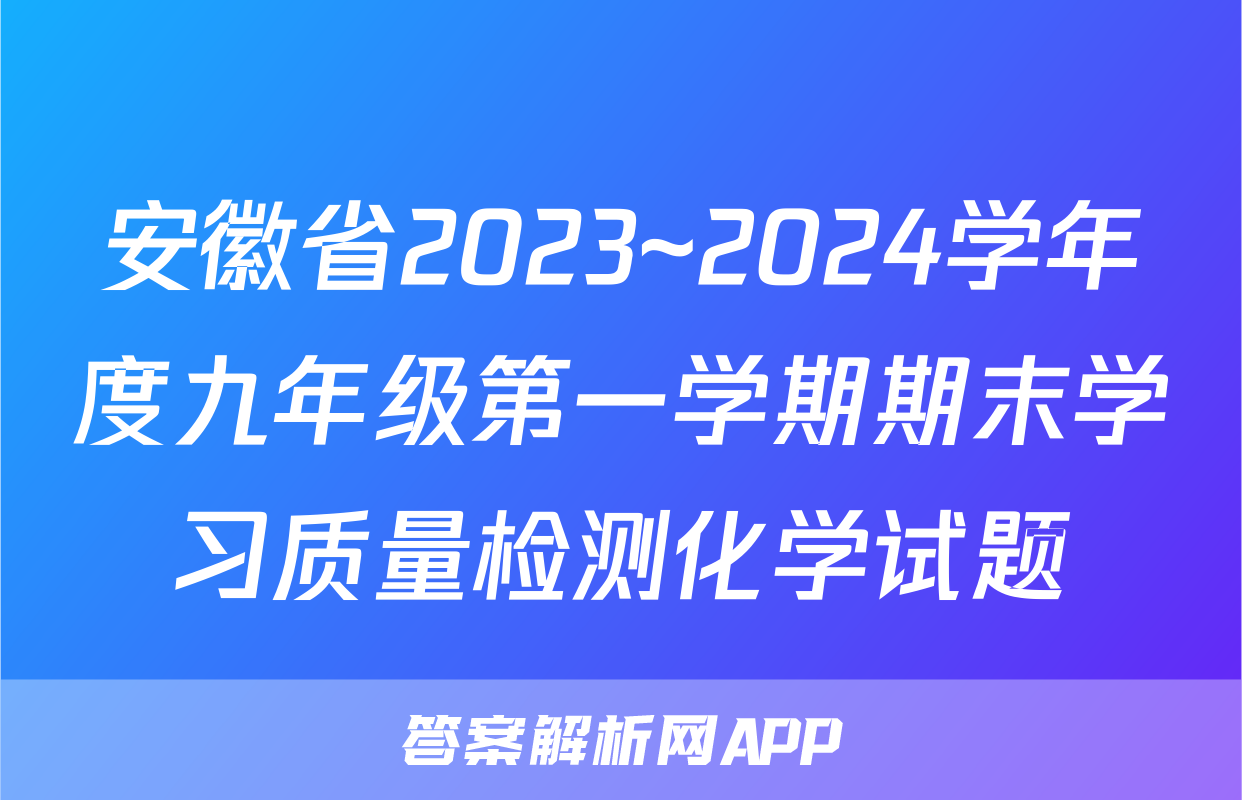 安徽省2023~2024学年度九年级第一学期期末学习质量检测化学试题