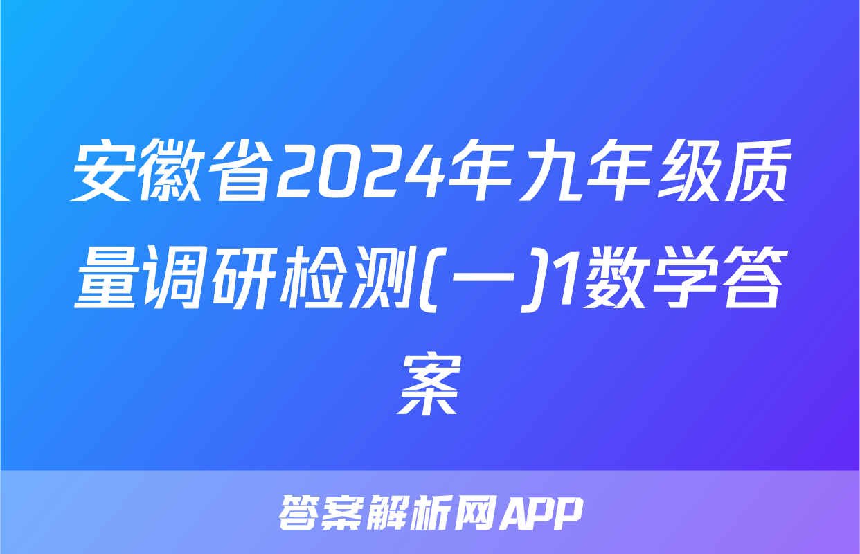 安徽省2024年九年级质量调研检测(一)1数学答案