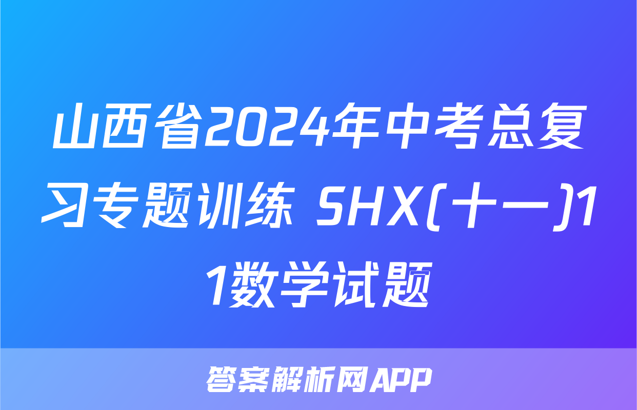 山西省2024年中考总复习专题训练 SHX(十一)11数学试题
