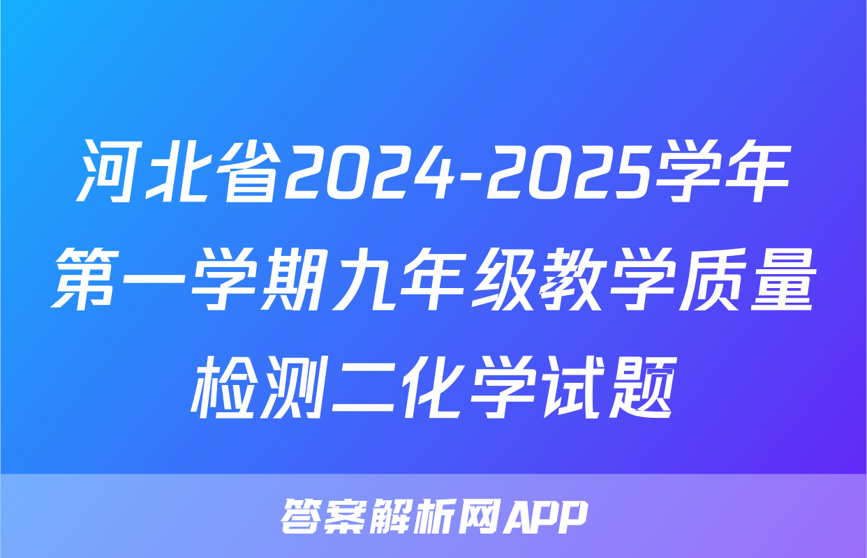 河北省2024-2025学年第一学期九年级教学质量检测二化学试题