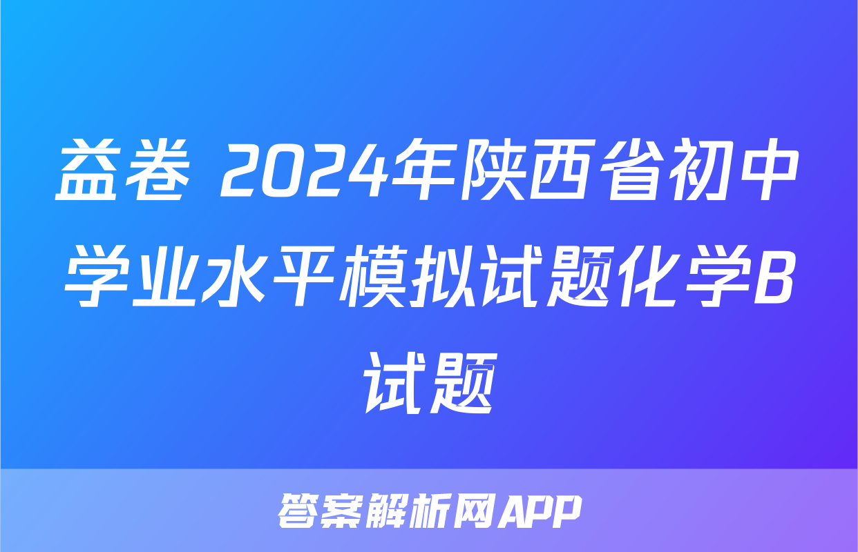 益卷 2024年陕西省初中学业水平模拟试题化学B试题