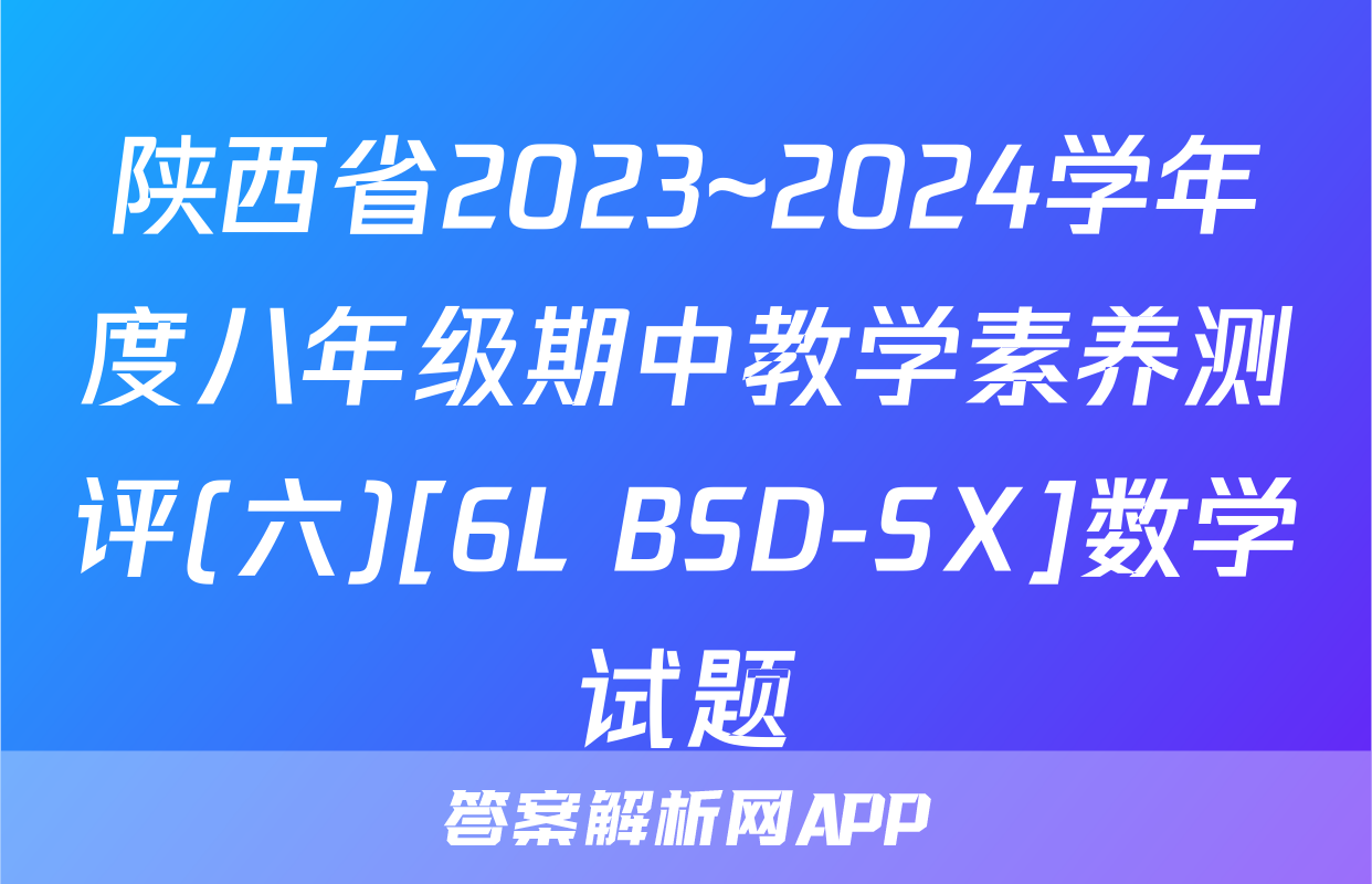 陕西省2023~2024学年度八年级期中教学素养测评(六)[6L BSD-SX]数学试题