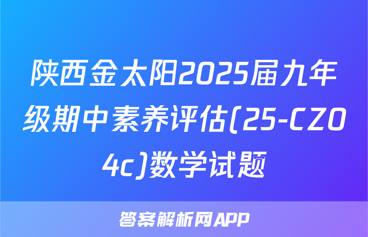 陕西金太阳2025届九年级期中素养评估(25-CZ04c)数学试题