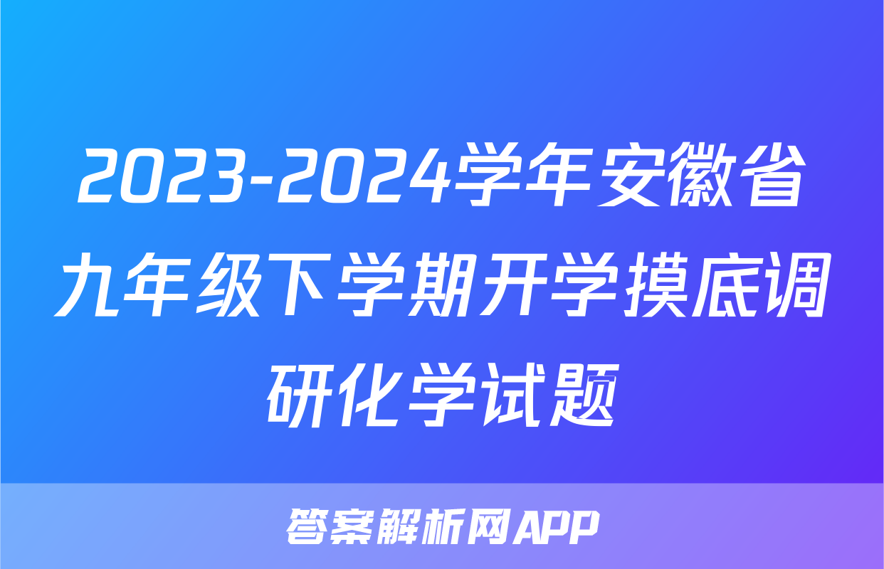 2023-2024学年安徽省九年级下学期开学摸底调研化学试题
