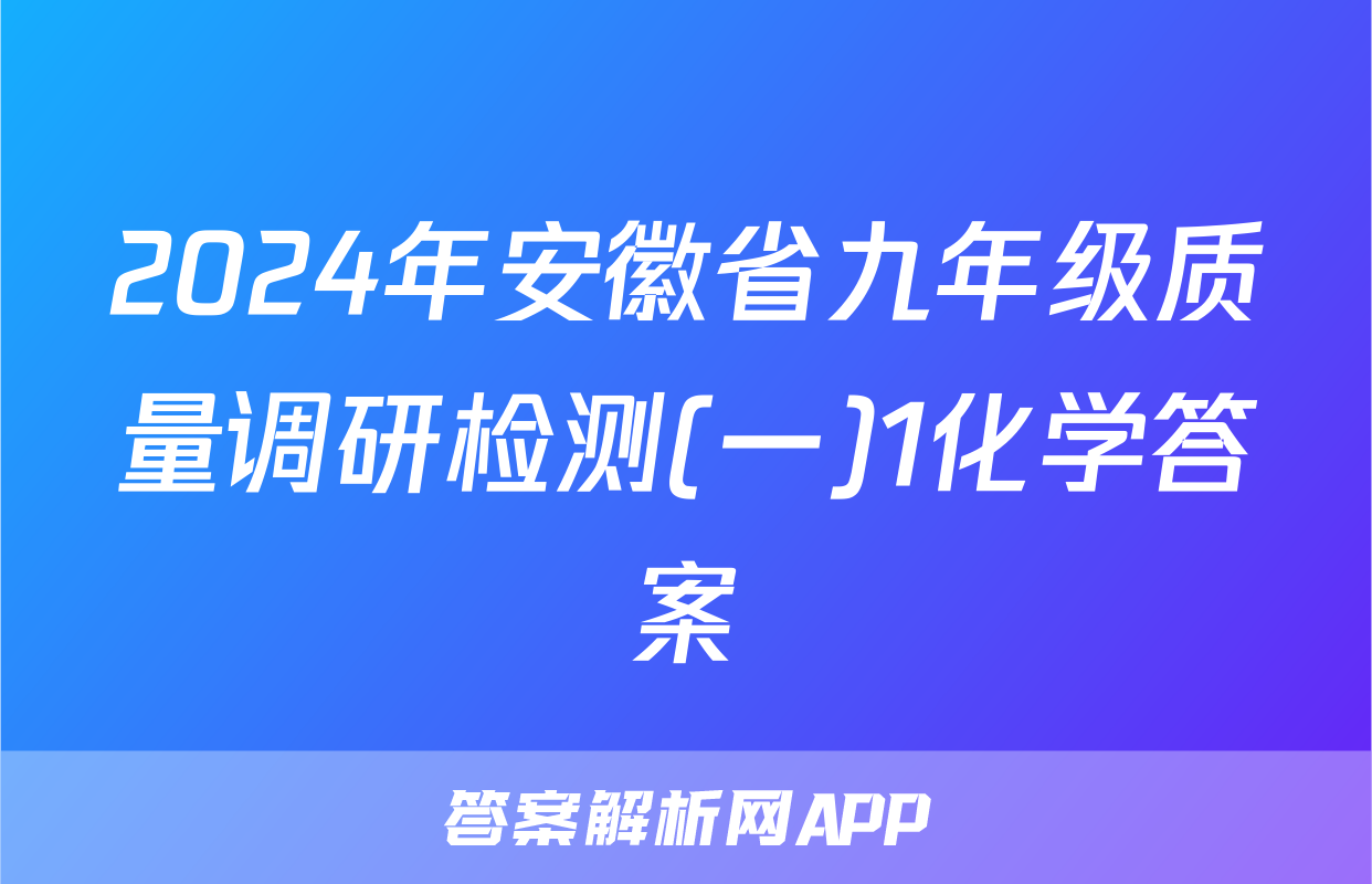 2024年安徽省九年级质量调研检测(一)1化学答案
