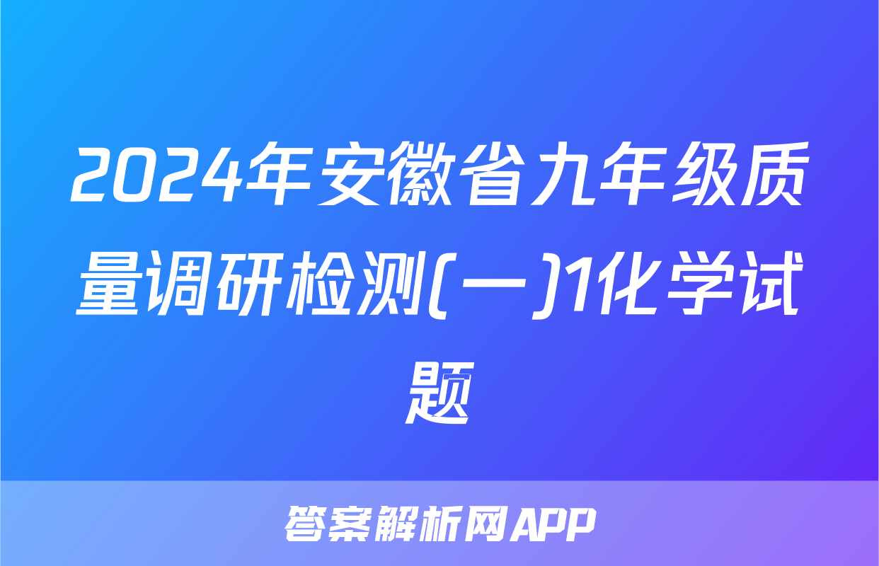 2024年安徽省九年级质量调研检测(一)1化学试题