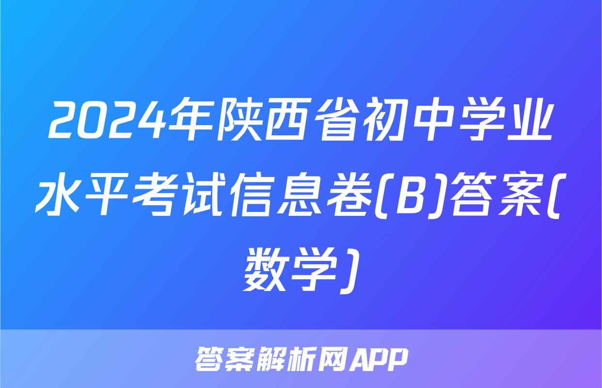 2024年陕西省初中学业水平考试信息卷(B)答案(数学)