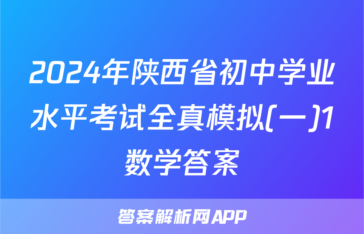 2024年陕西省初中学业水平考试全真模拟(一)1数学答案