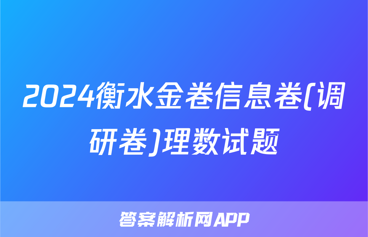 2024衡水金卷信息卷(调研卷)理数试题